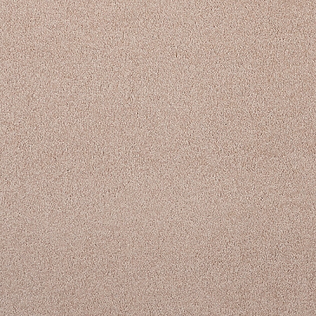 Cashmere - 850